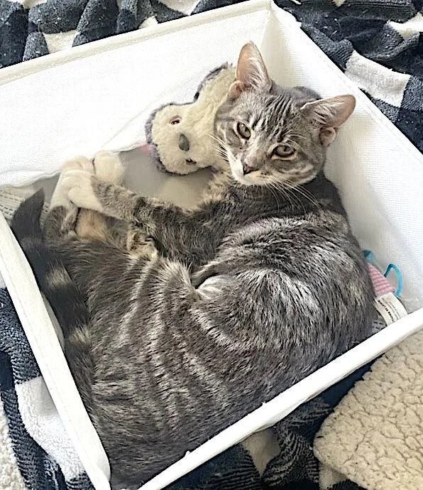 Daisy Lou thumbnail 3