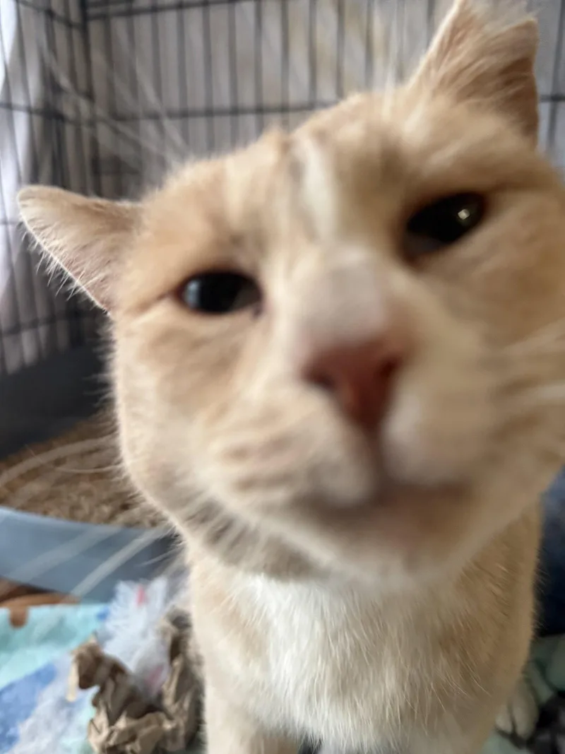 O'Malley thumbnail 3
