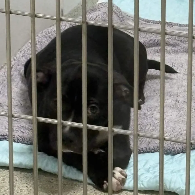 Greensprings thumbnail 2