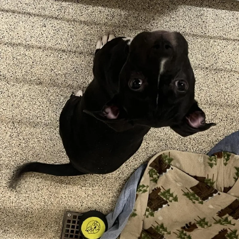 Greensprings thumbnail 3