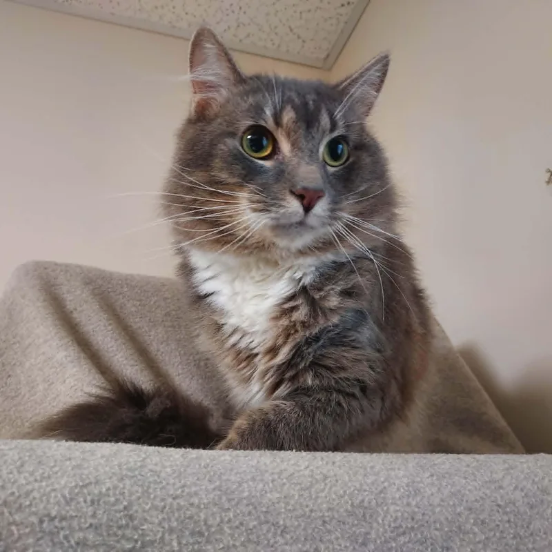 Newman thumbnail 2