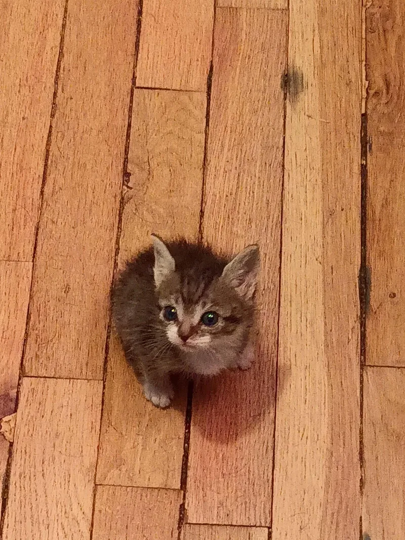 Baxter