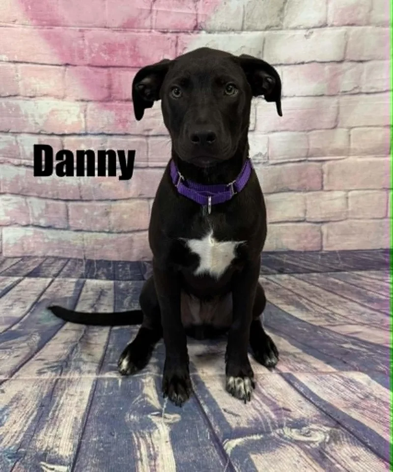 Danny thumbnail 2