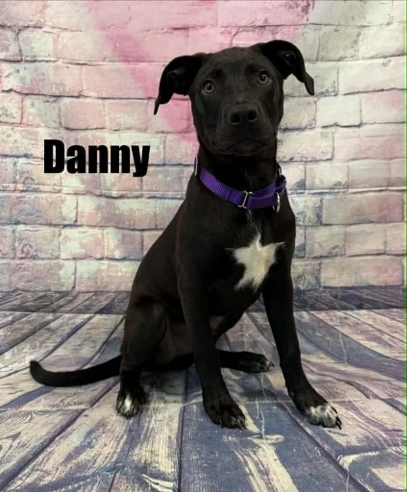 Danny thumbnail 3