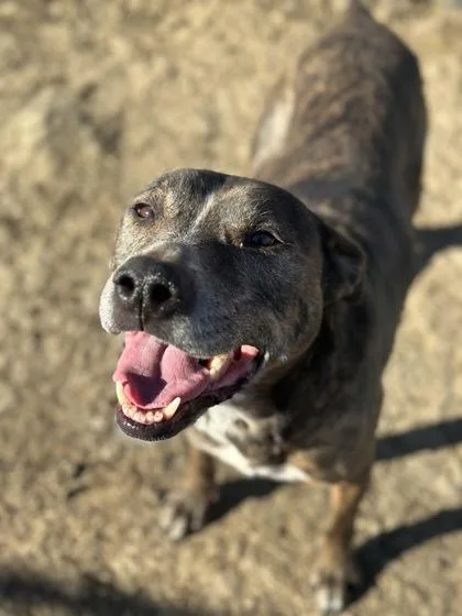 Brooklyn thumbnail 2