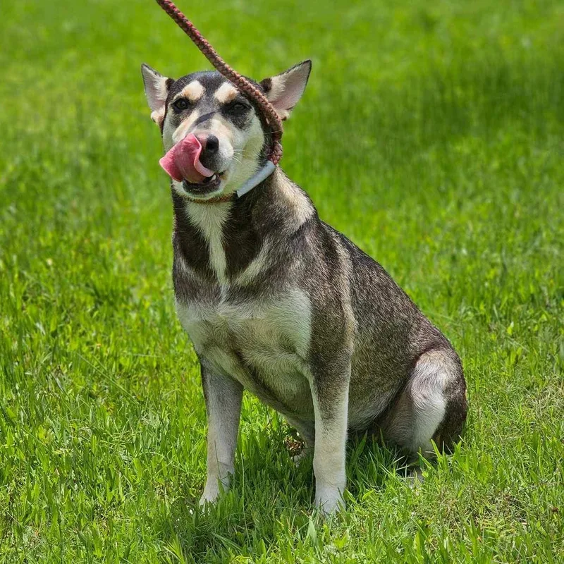 Winifred thumbnail 2