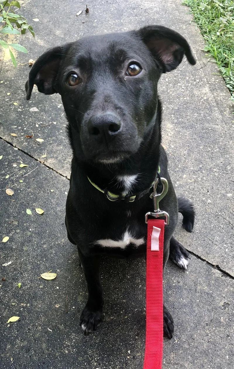 Sammy