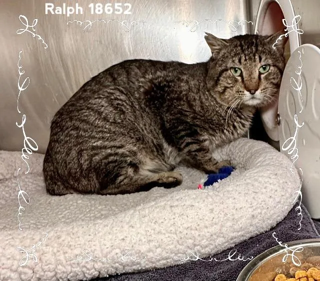 Ralph