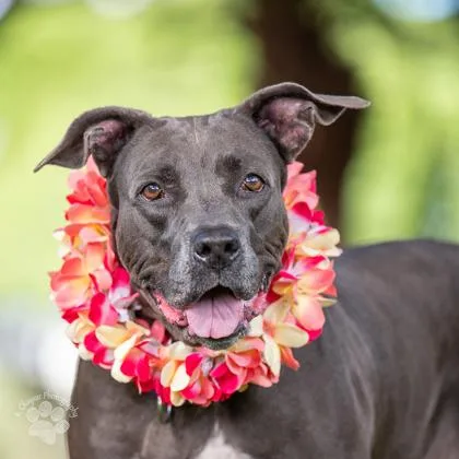 Royalty Rita thumbnail 2