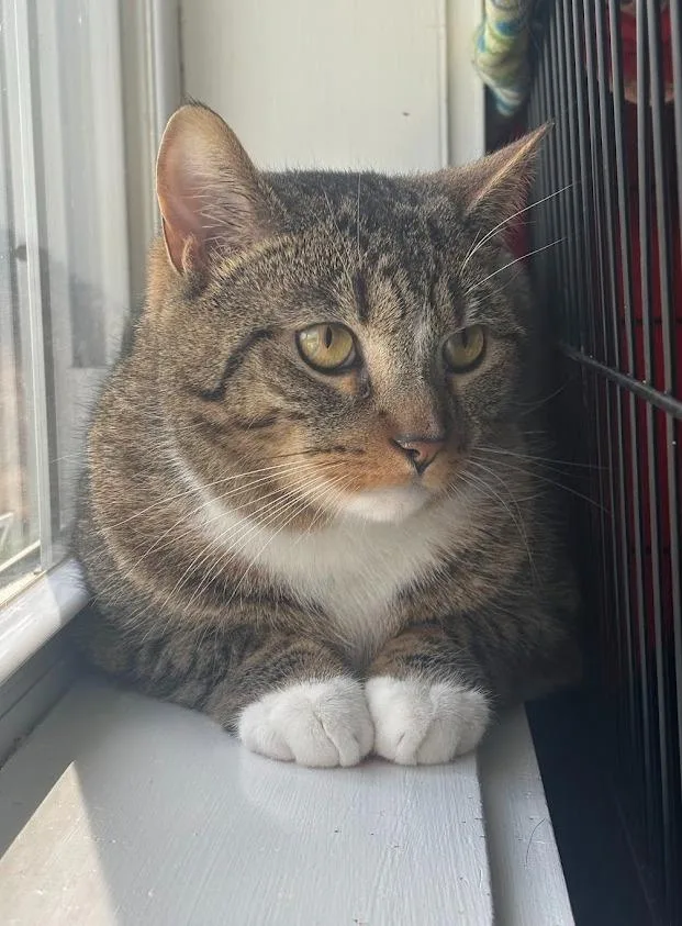 Gus Gus thumbnail 3