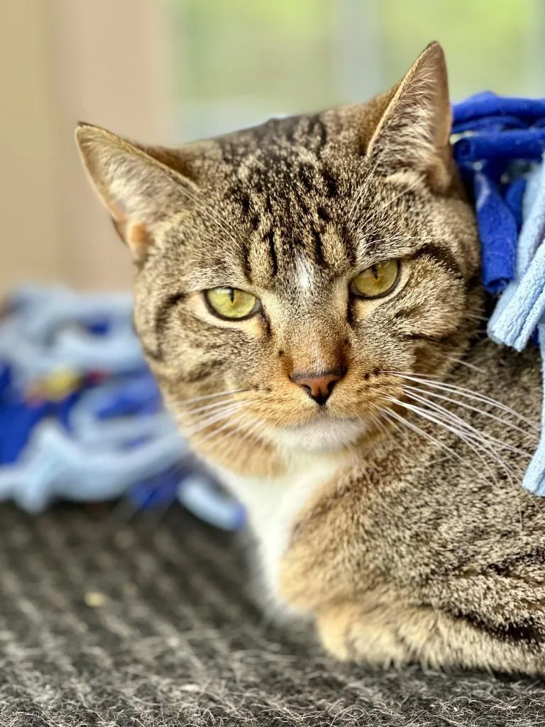 Gus Gus thumbnail 4