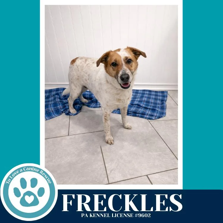 Freckles thumbnail 2