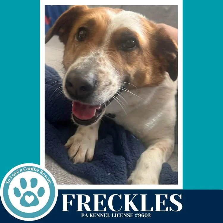 Freckles thumbnail 3