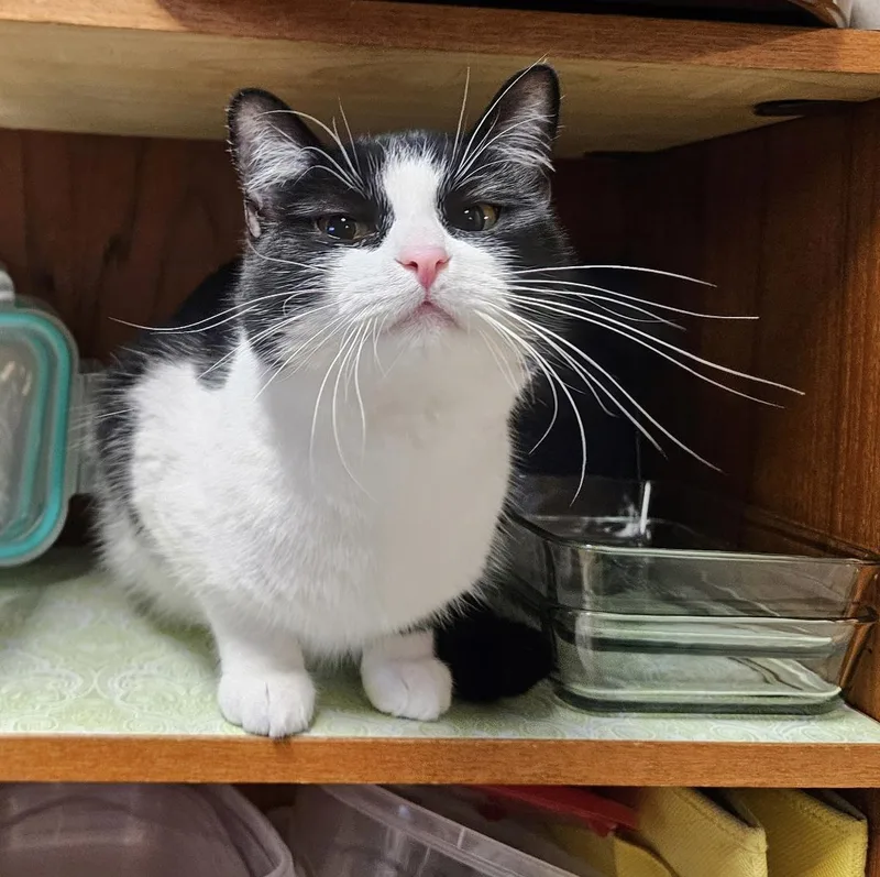 Laurel Kindred thumbnail 3