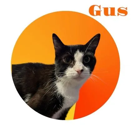 Gus