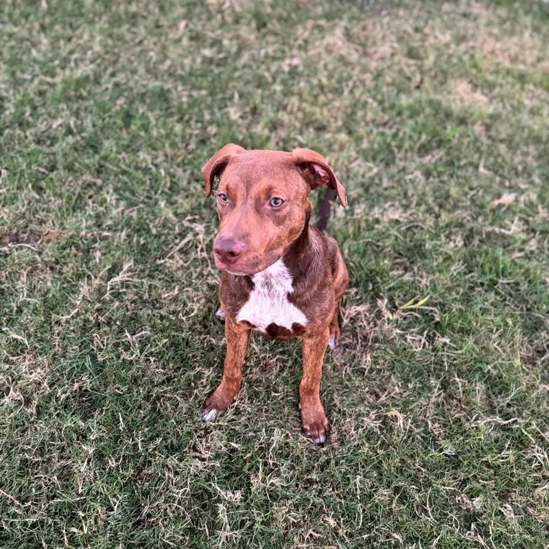 Jason Statham thumbnail 2