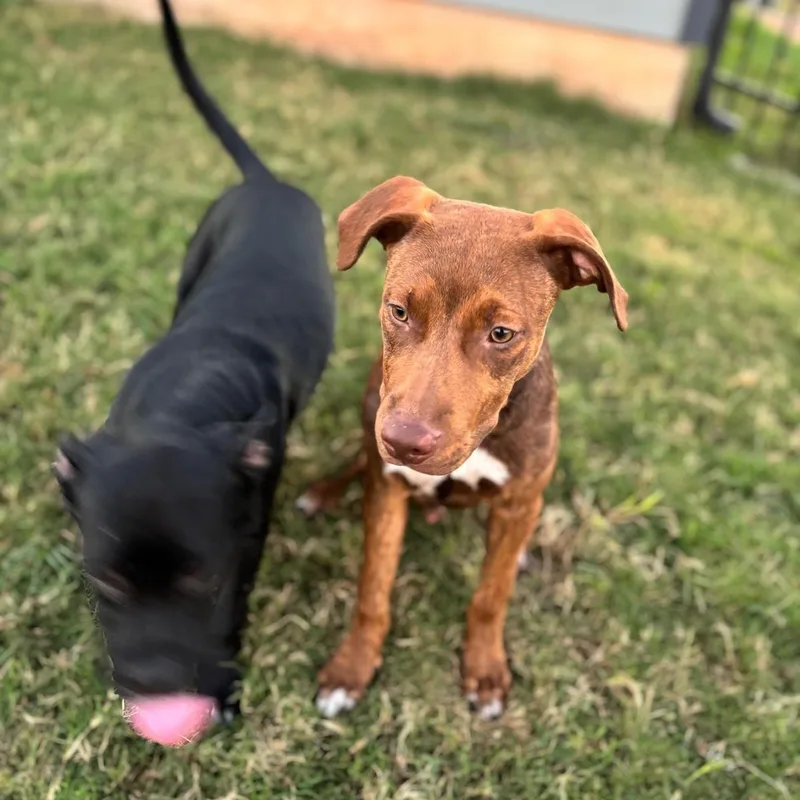 Jason Statham thumbnail 3