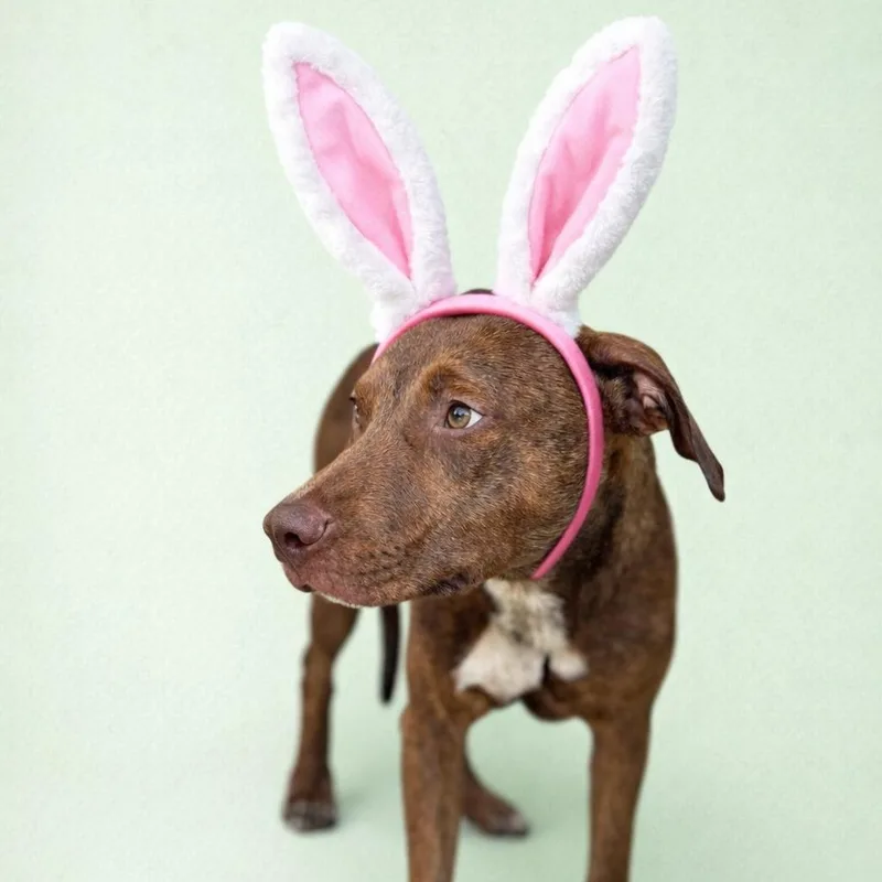 Jason Statham thumbnail 4