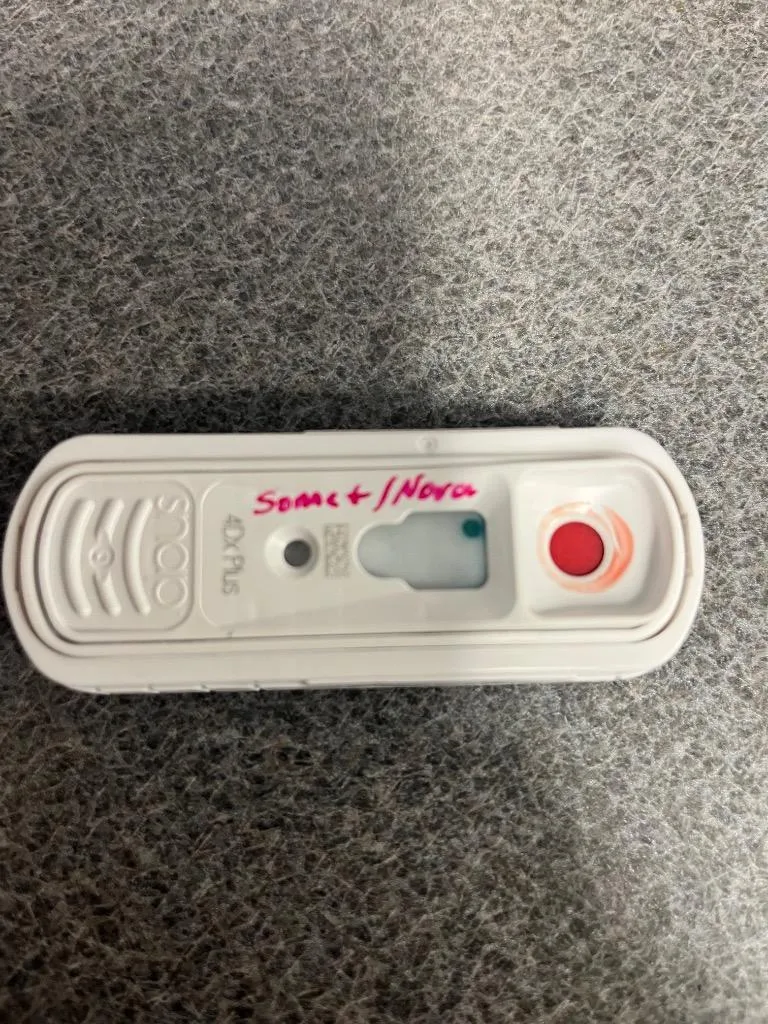 Sonnetnova thumbnail 4