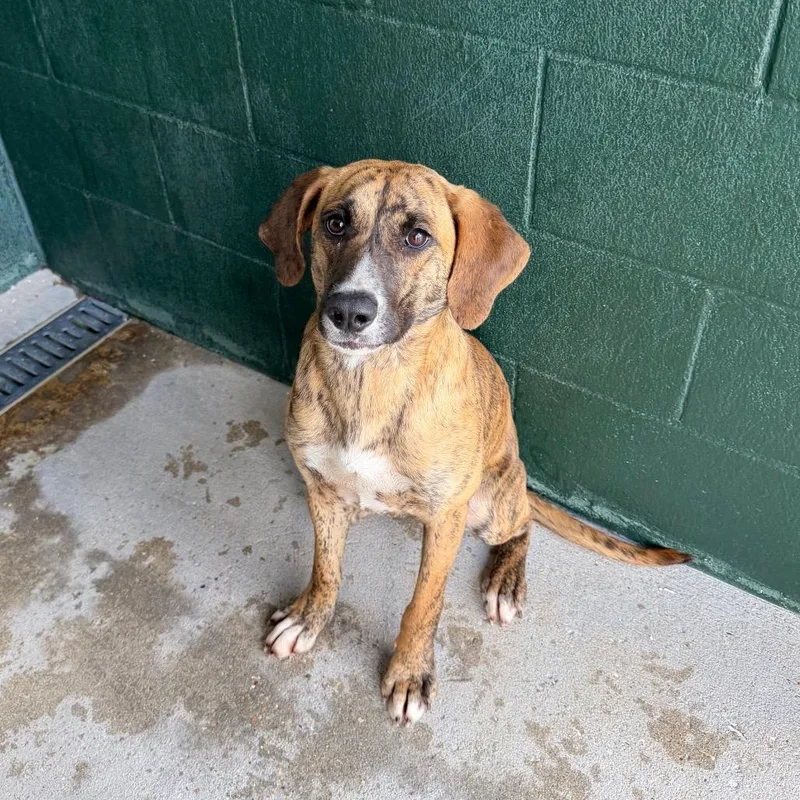 Tinkersmell thumbnail 2