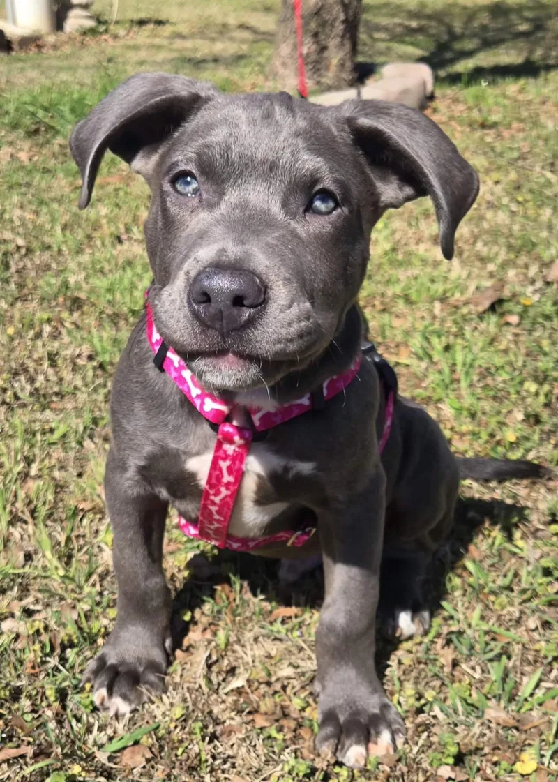 Rusty   $ thumbnail 5