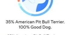 Frito thumbnail 4