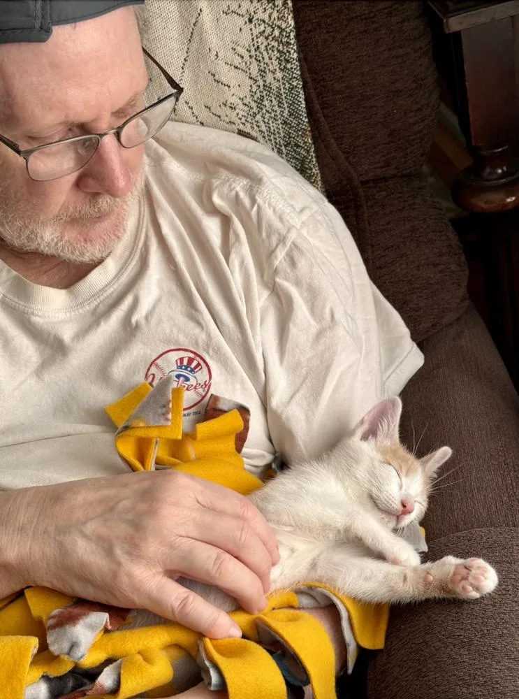 Butterscotch thumbnail 3