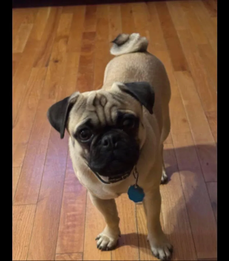 Frank