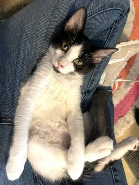 Captain Crunch thumbnail 3