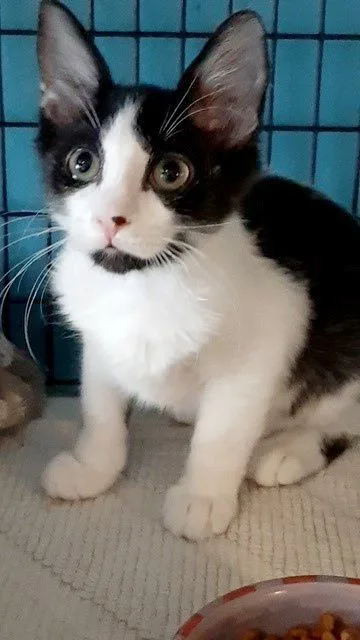 Captain Crunch thumbnail 4