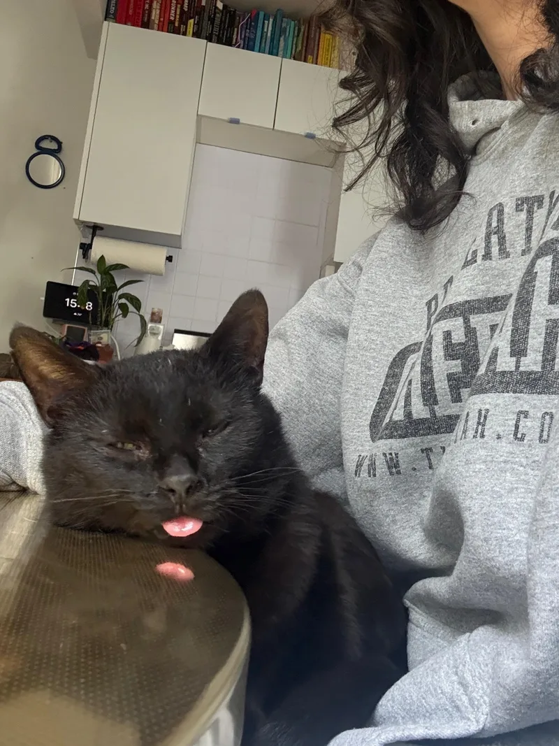 Wilbur thumbnail 5