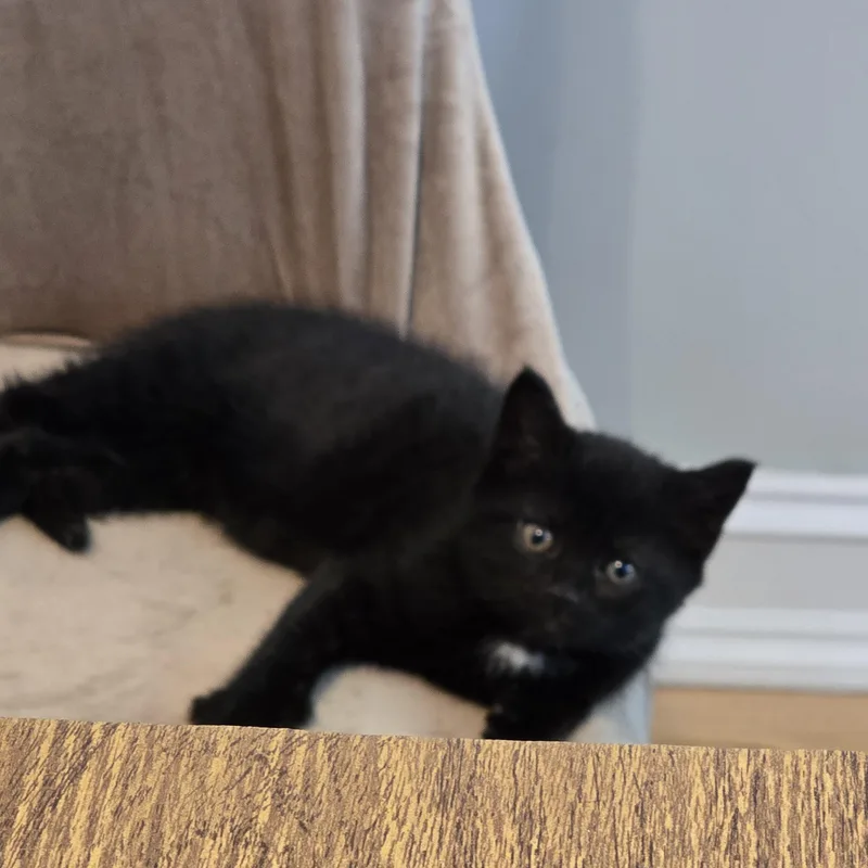 Sabrina thumbnail 4