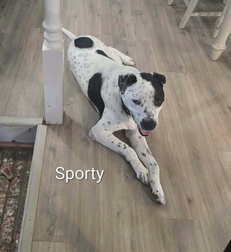 Sporty thumbnail 2