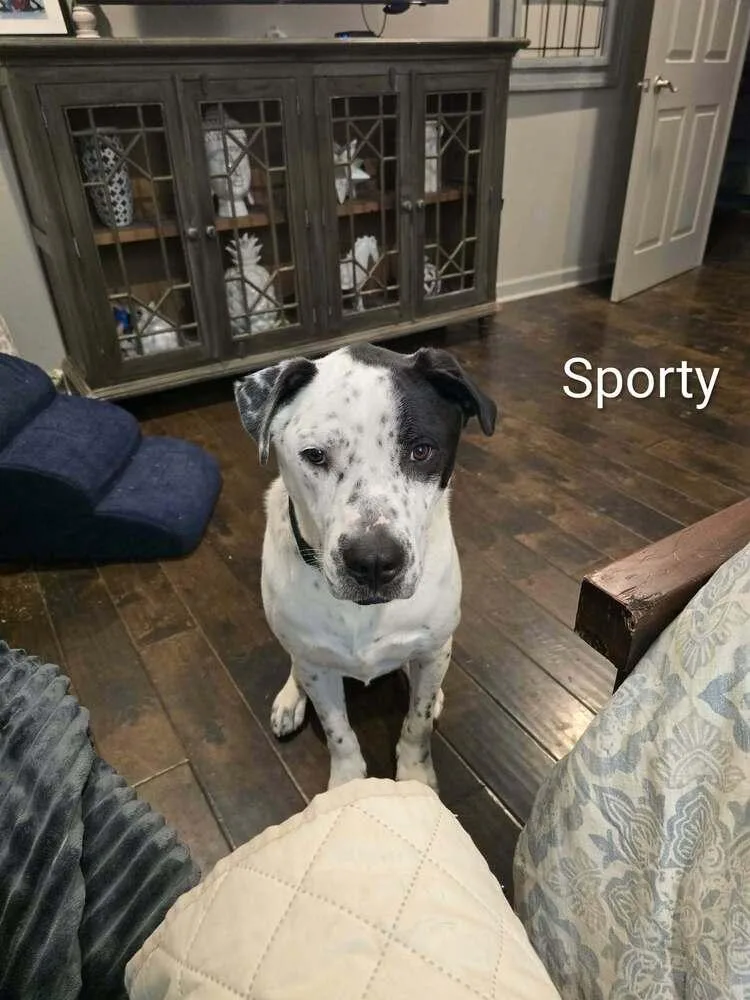 Sporty thumbnail 3