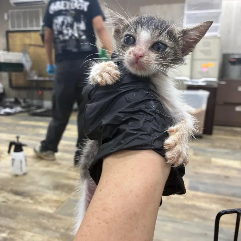 Maggie thumbnail 4