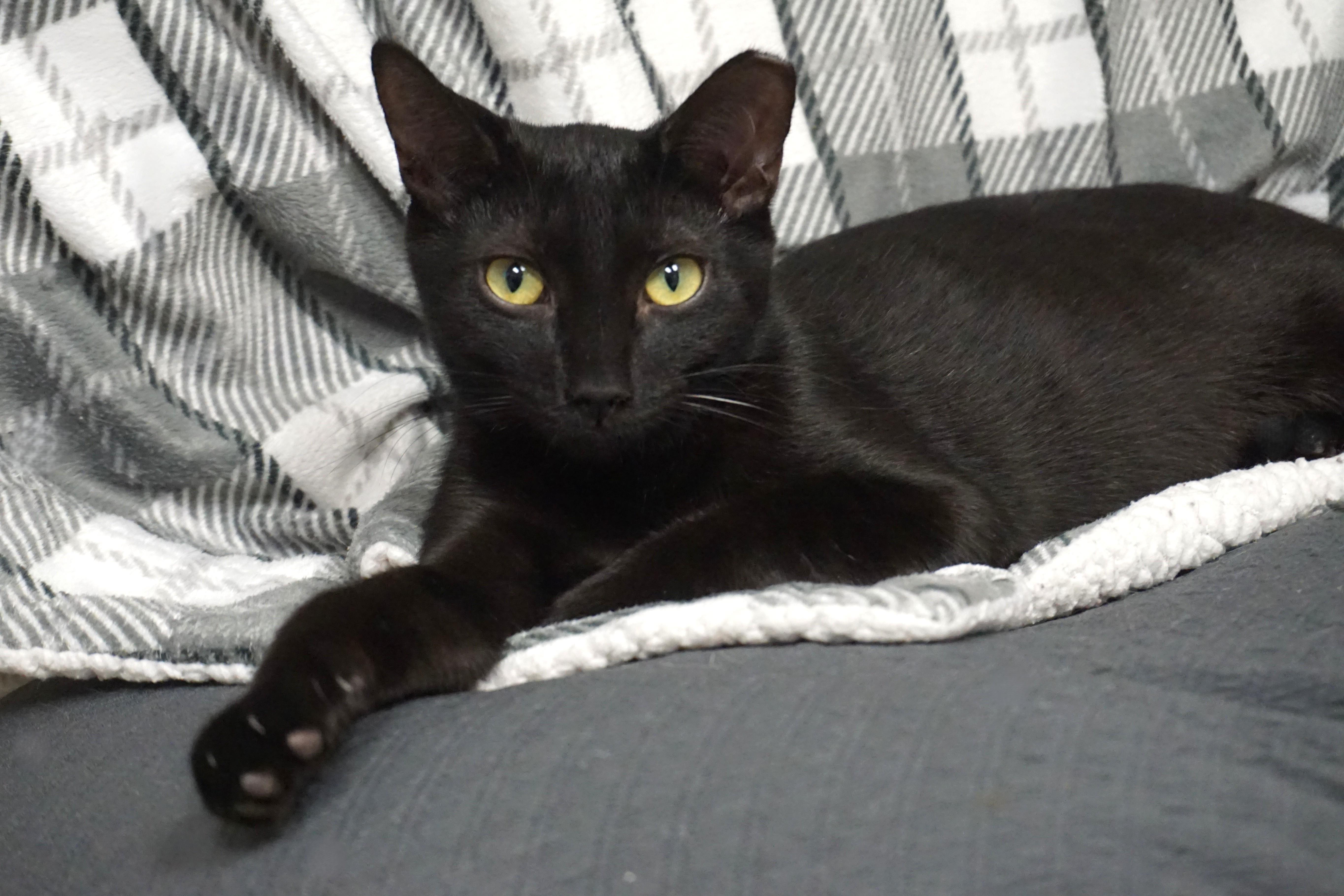 Popsicle thumbnail 2