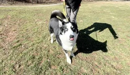 Buddy Fka Luffy thumbnail 3