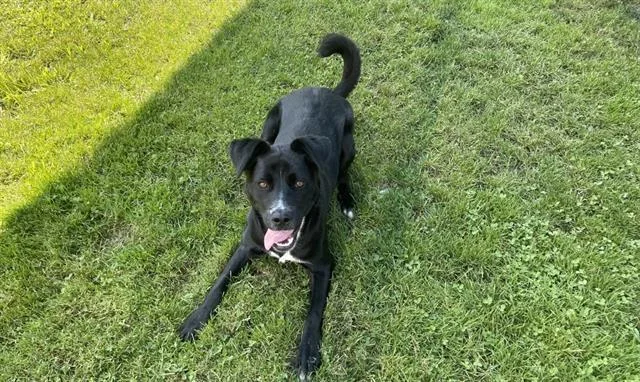 Zoey