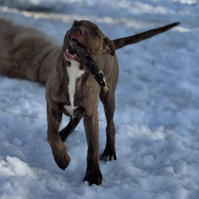 Margarita thumbnail 3