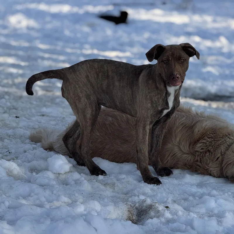 Margarita thumbnail 4