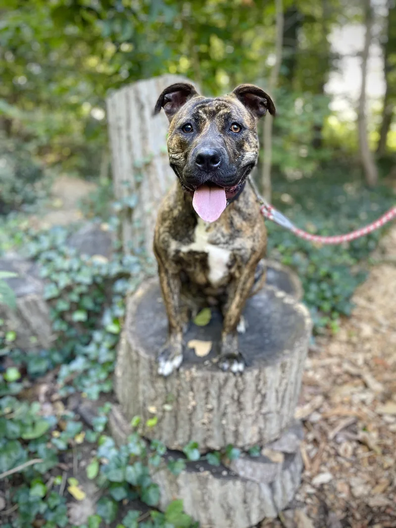 Princess thumbnail 3