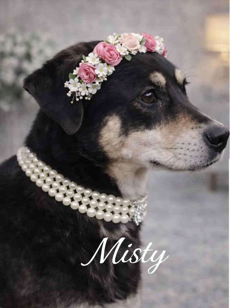 Miss Daisy Bloom thumbnail 3