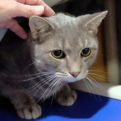 Dusty Pp W Schemmy thumbnail 2