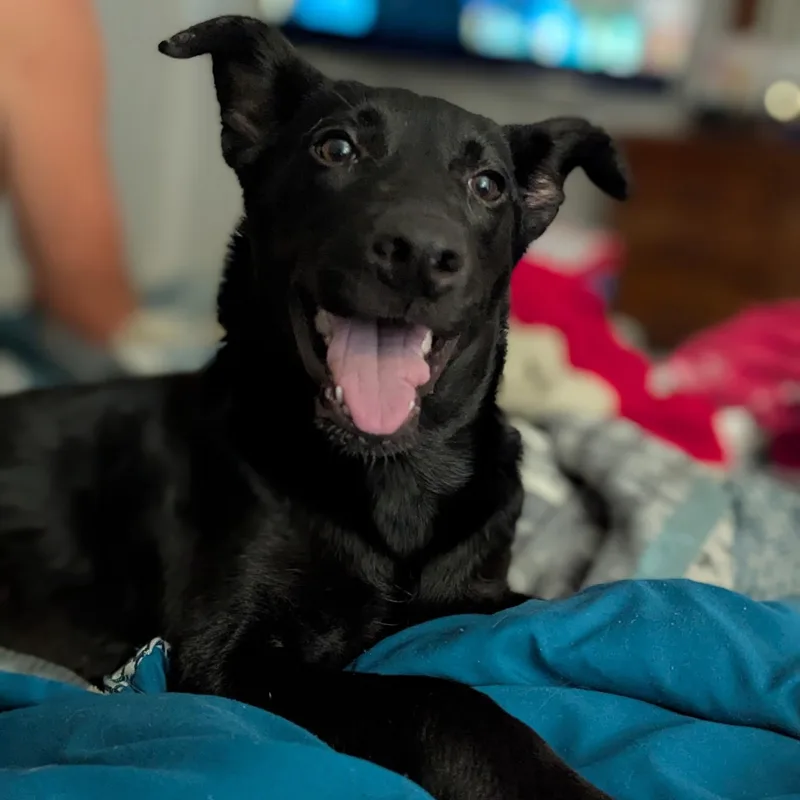 Betty thumbnail 5