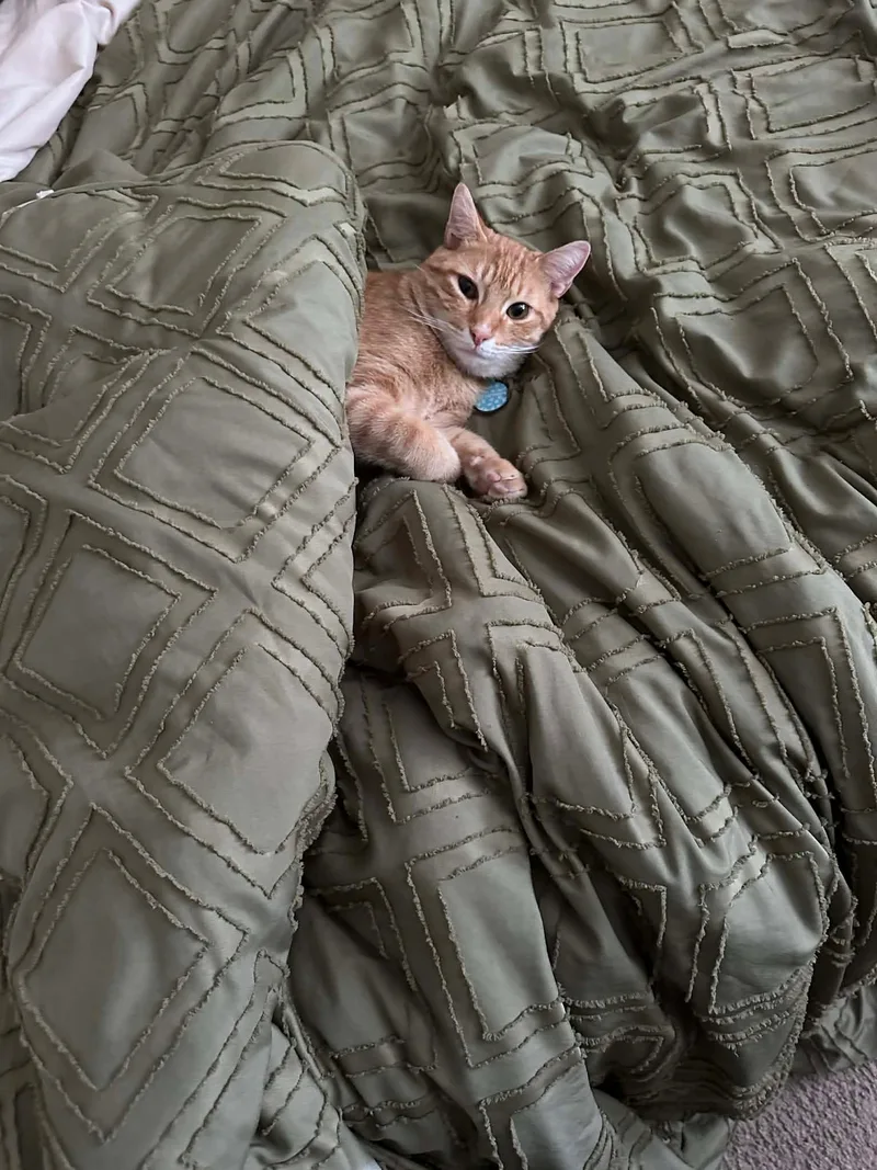 Salem & Oj thumbnail 4