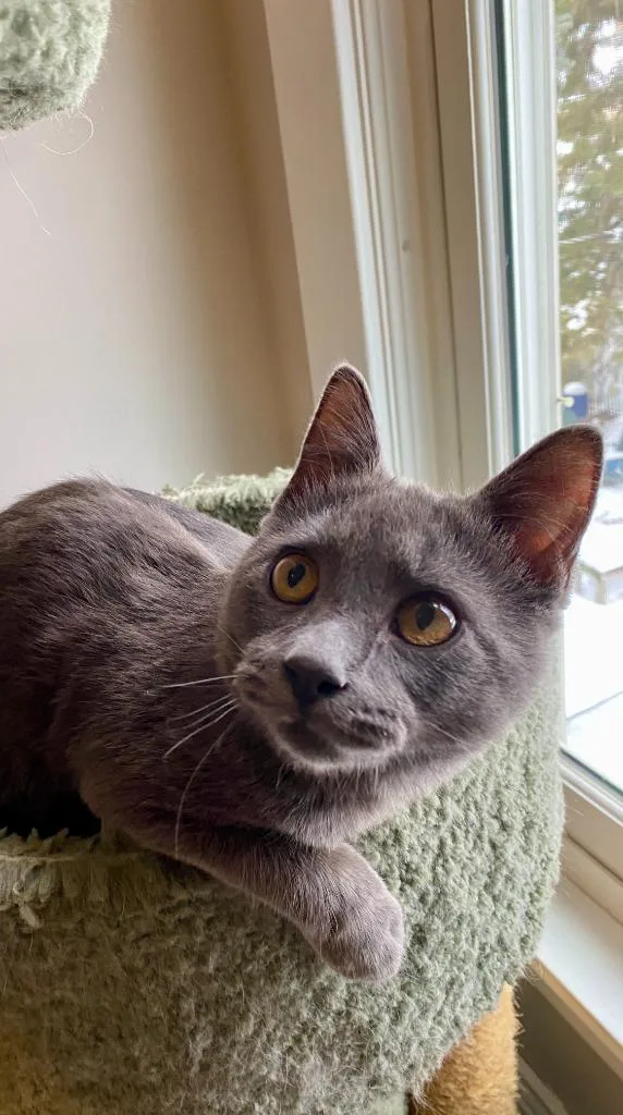 Bernadette Moth thumbnail 2