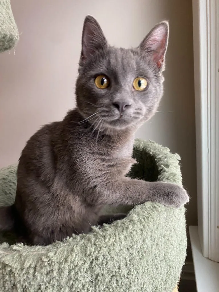 Bernadette Moth thumbnail 5