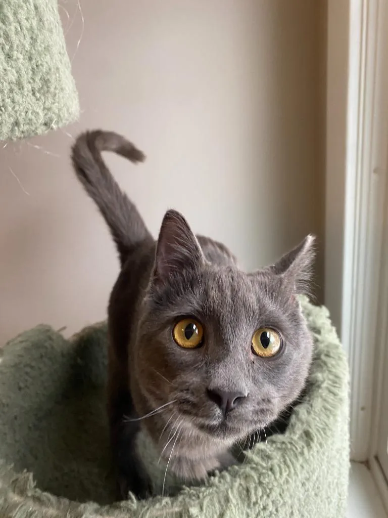 Bernadette Moth thumbnail 6