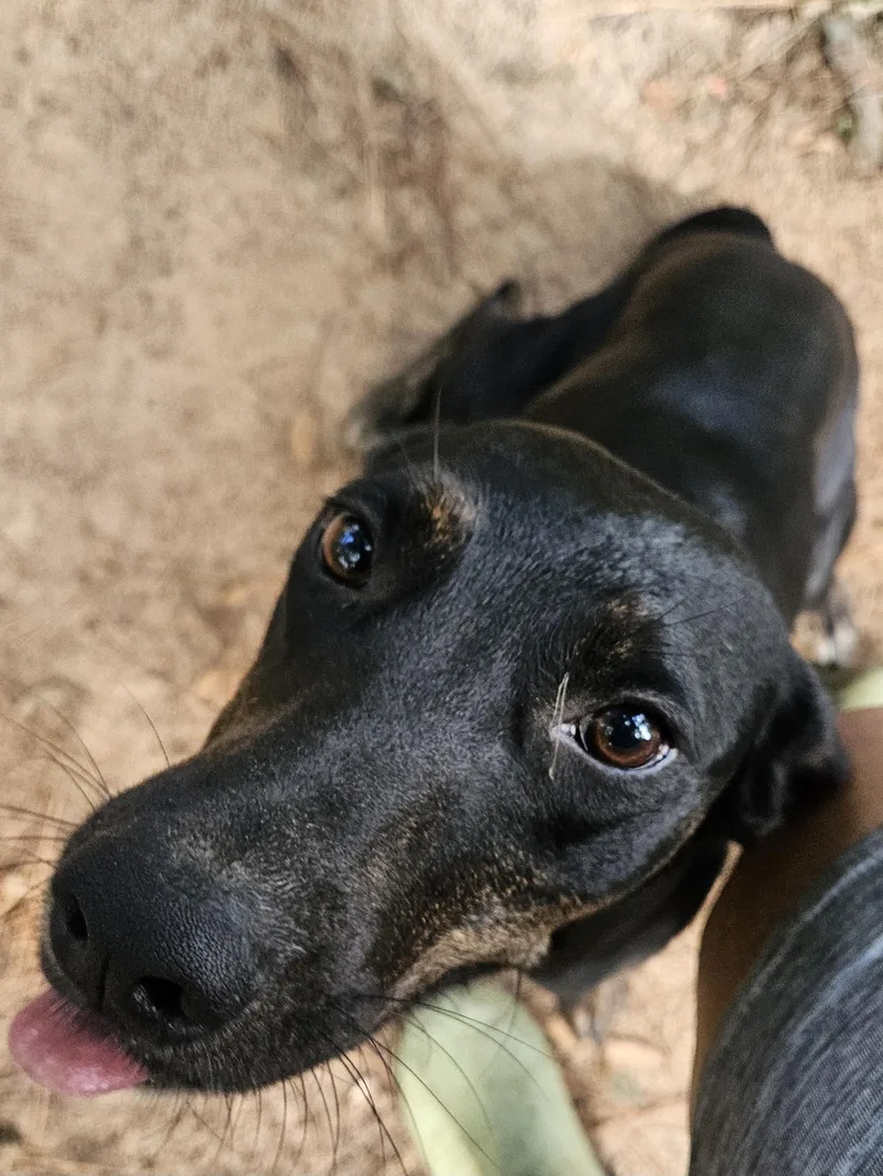 Molly  Co thumbnail 4