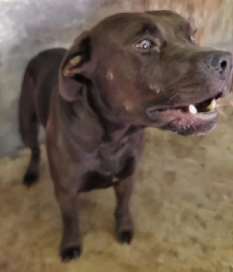 Bubba James thumbnail 2